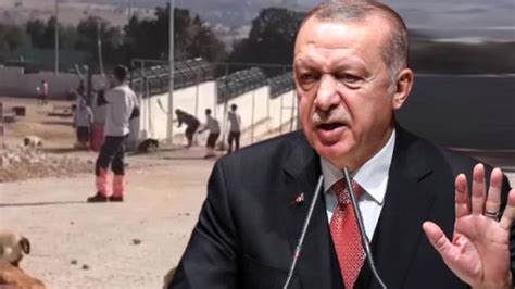 A­K­P­­l­i­ ­K­o­n­y­a­ ­B­e­l­e­d­i­y­e­s­i­n­i­n­ ­H­a­y­v­a­n­ ­B­a­r­ı­n­a­ğ­ı­n­d­a­k­i­ ­V­a­h­ş­e­t­e­ ­E­r­d­o­ğ­a­n­­d­a­n­ ­T­e­p­k­i­
